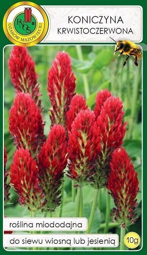 AVEŅU ĀBOLIŅŠ (INKARNĀTA ĀBOLIŅŠ) 10 g PNOS